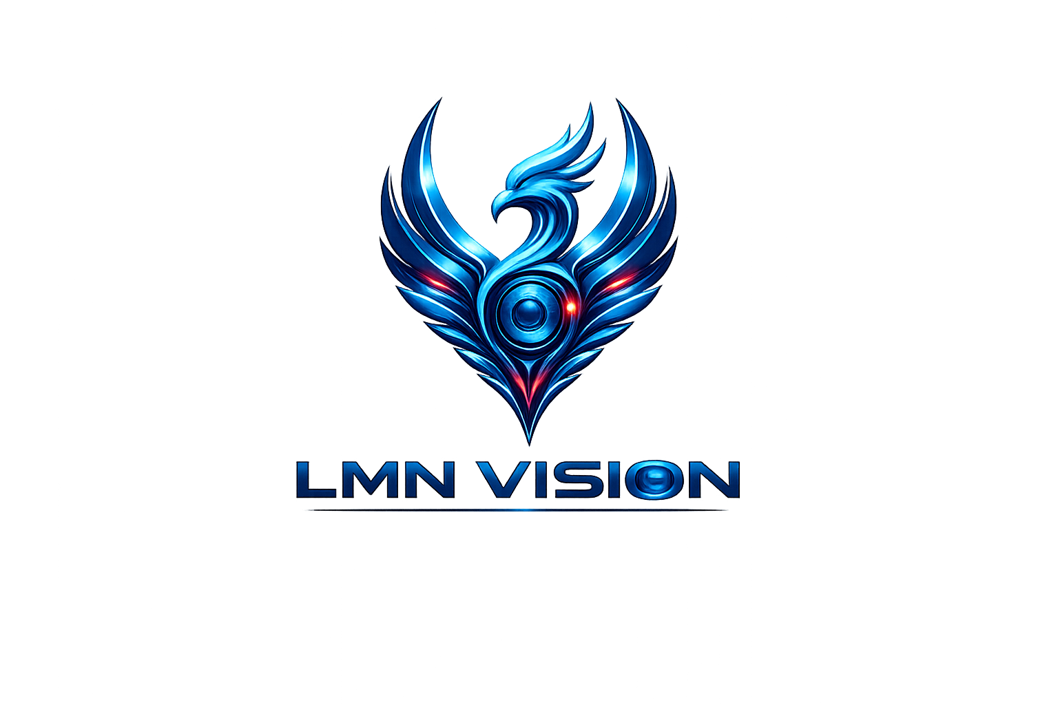 LMN VISION